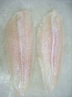 Raccordo di Pangasius/pesce di Basa congelati pesce congelati massa deliziosa dal Vietnam