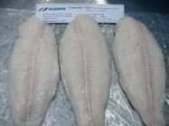 Raccordo di Pangasius/pesce di Basa congelati pesce congelati massa deliziosa dal Vietnam