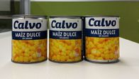 La marca di Calvo ha inscatolato il peso netto 241g di Maiz Dulze del mais per l'America Centrale
