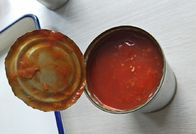 425g ha inscatolato il pesce pacifico dello sgombro in pc della salsa al pomodoro 3-5