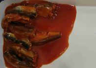 Pesce inscatolato della sardina in salsa al pomodoro in latte