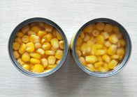 Non GMO ha inscatolato il mais senza la mescolanza