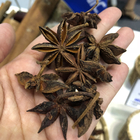 Il nuovo raccolto Autumn Star Anise Seeds Natural