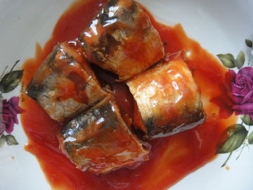 Lo sgombro puro ha inscatolato il pesce nel gusto fine eccellente della salsa al pomodoro/salamoia/olio