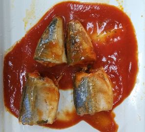 Il pesce inscatolato sgombro molle del gusto/ha inscatolato lo sgombro in salsa al pomodoro nessun'impurità