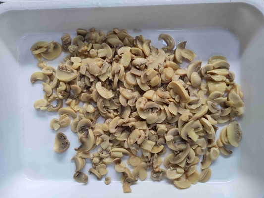 Funghi Champignon in Scatola al Vapore Ingrediente Versatile per Ogni Piatto