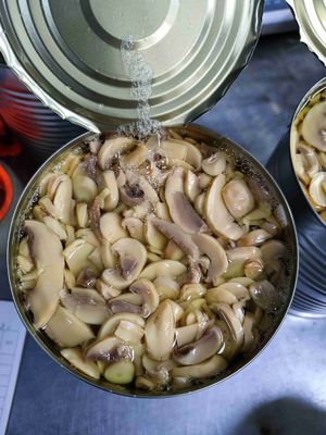 Funghi conservati sotto sale con processo di salatura Ordine minimo 1 container da 20 piedi
