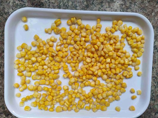 Top Quality Canned Sweet Corn with Carton Transport Packaging and Normal Open Lid for Food Processing