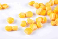 Nocciolo di mais inscatolato giallo dorato con il HACCP aperto facile del coperchio approvato