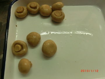 Fungo del fungo prataiolo inscatolato intera forma con termine d'esecuzione ricco di short di nutrizione