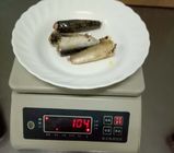 sardine inscatolate del peso netto 125g in nutrizione ricca dell'olio vegetale varia
