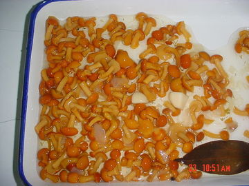 Ortaggi freschi d'inscatolamento dell'intero fungo di Nameko dimensione salata di gusto del barattolo nella multi