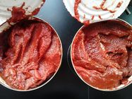 Passata di pomodoro inscatolata rottura fredda senza odore e preservativi peculiari