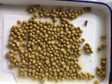 Gli ortaggi freschi d'inscatolamento di nuova stagione hanno inscatolato il coperchio aperto normale dei piselli