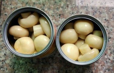 L'intero fungo dei funghi prataioli sani ha inscatolato 400gm a buon mercato dalla Cina