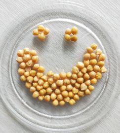 La vendita all'ingrosso dei ceci inscatolata prezzo economico ha conservato Chick Peas 400g