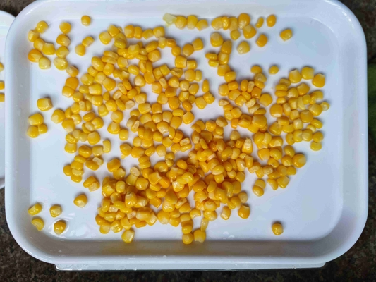 Maissolo giallo super dolce in scatola, scelto a mano e gustoso