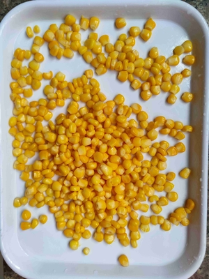 Aggiungi sapore e nutrizione con il mais dolce in scatola in imballaggio Metel