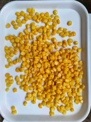 Noci di mais dolce in scatola senza OGM
