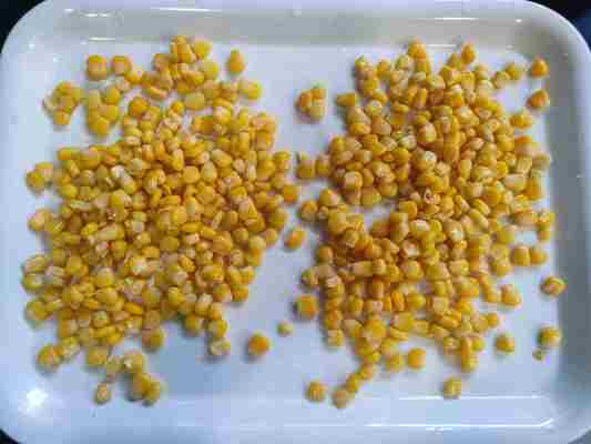 Mais fresco in scatola, mais dolce per frutta e funghi