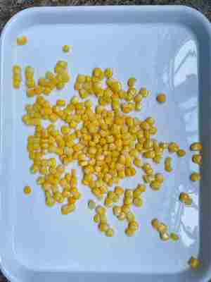 Mais dolce in scatola pronto da mangiare e perfetto per ogni piatto