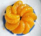 Ingiallisca la forma inscatolata della fetta dei mandarini in sciroppo leggero/pesante