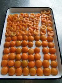 Metà delle albicocche inscatolate frutta in scatola economica in sciroppo leggero con la marca privata