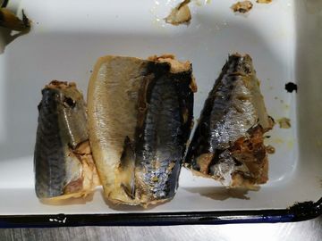 Indicazioni per la conservazione del pesce in scatola