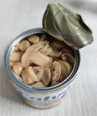 fungo del fungo prataiolo inscatolato A del grado di 580ml 720ml con sapore salato