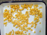 La coltivazione OMG 425g di FDA ha inscatolato i noccioli di mais