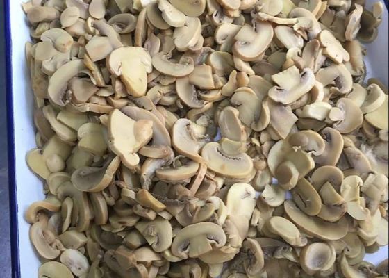 Il sapore tipico HALAL 2840g ha inscatolato il fungo PNS del fungo prataiolo