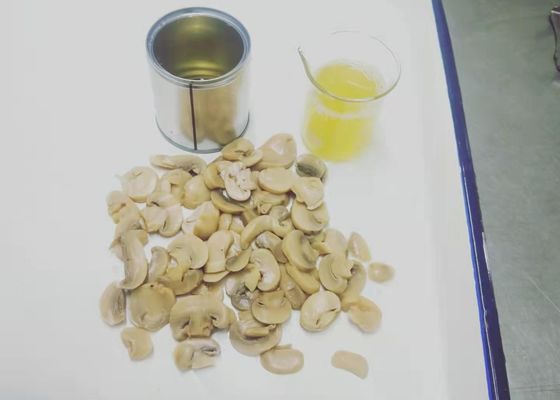 Fetta bianca inscatolata non laccata del fungo di BRC 184g