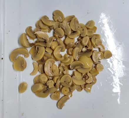 Contiene funghi champignon in scatola, funghi champignon conservati, ideali per l'industria della ristorazione e la cucina