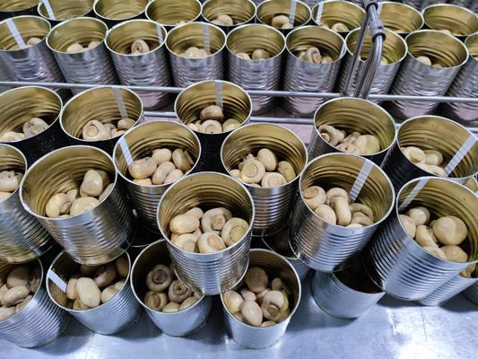 400g / 425g ha inscatolato i funghi cinesi inscatolati intero fungo