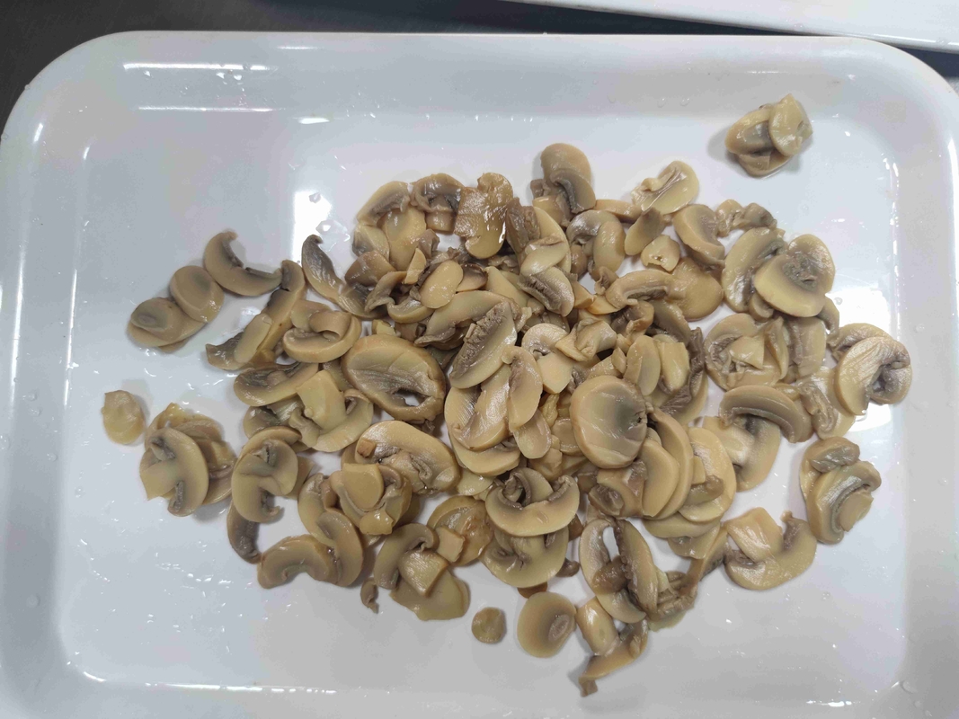 Funghi Champignon in scatola al vapore Conservare in luogo fresco e asciutto per verdure in scatola
