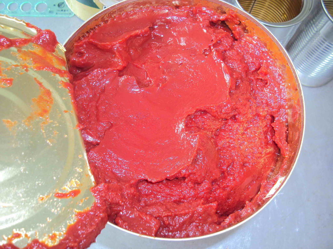 La salsa al pomodoro fresca d'inscatolamento, passata di pomodoro può sterilizzazione commerciale