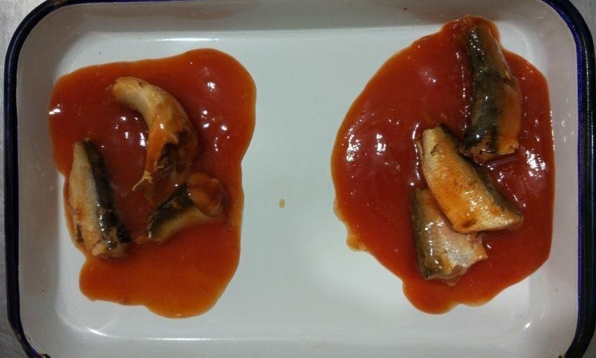 Pesce inscatolato piccante caldo della sardina in dimensioni ed imballaggio su ordinazione della salsa al pomodoro