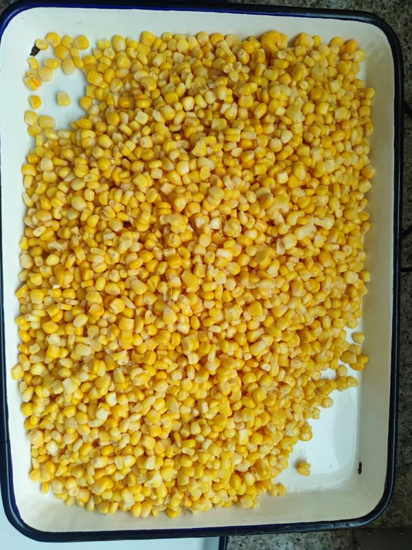 Mais dolce in scatola confezionato in modo pratico, pronto da mangiare, chicchi di mais in scatola per pasti istantanei