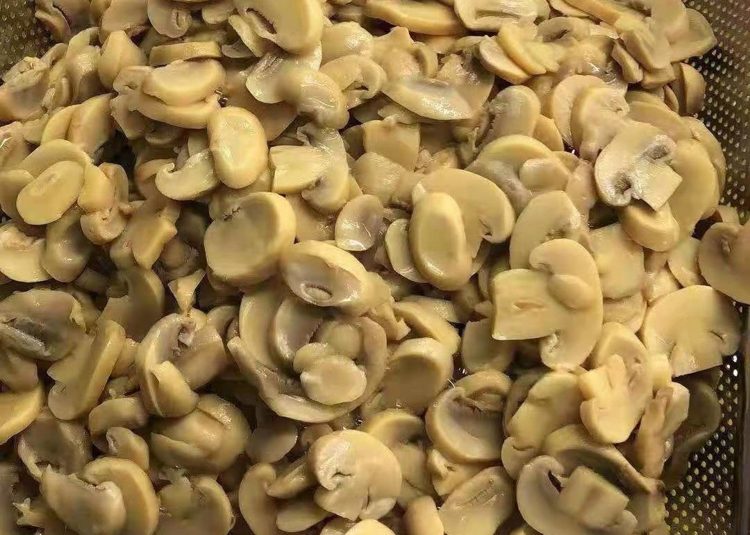 Funghi Champignon in Scatola, Taglio Medio, Consistenza e Sapore Uniformi per Esigenze di Lavorazione Alimentare