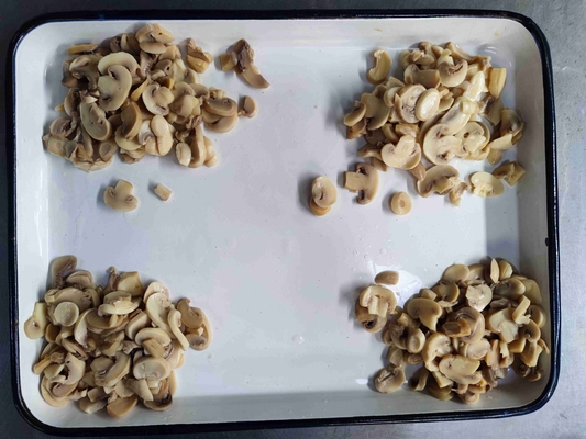 24 mesi Durata di conserva Prodotto di champignon in scatola