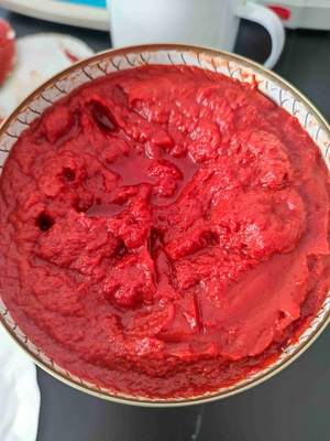Bostwick 5.0-9.0cm/30sec Salsa di pomodoro in scatola con additivi di frutta