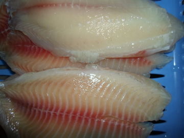 Pesce congelato senz'ossa fresco puro sano di tilapia, raccordi congelati di tilapia