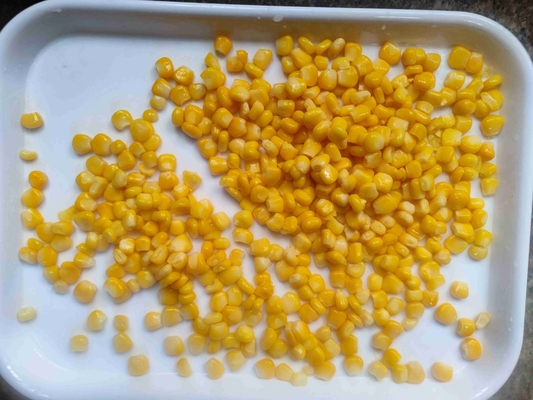 Colori di mais dolce con sapori 1800 grammi