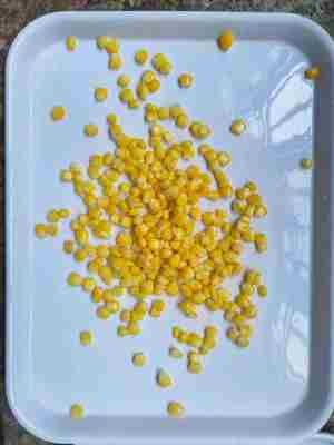 Sciroppo da 7,5 a 9,0 Mais giallo in scatola in varie dimensioni 90g 184g 340g e 425g Ideale per applicazioni nell'industria alimentare