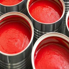 Comodo Negozio di Passata di Pomodoro in Lattina per Cuochi Indaffarati e Attenti alla Salute
