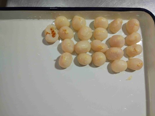 Frutta in scatola OMG del litchi di coltivazione di conservazione dello sciroppo di 15 Oz